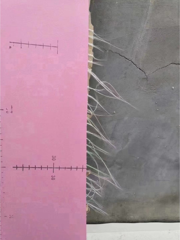 微信圖片_20241025141649-1.jpg 微信圖片_20241025141649-1.jpg